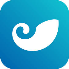 探索“imtoken”：数字资产管理的新高峰